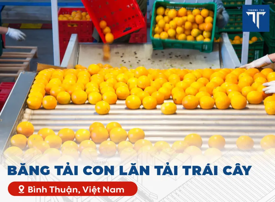Băng tải con lăn tải trái cây