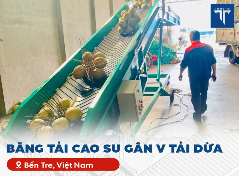 Băng tải tải dừa
