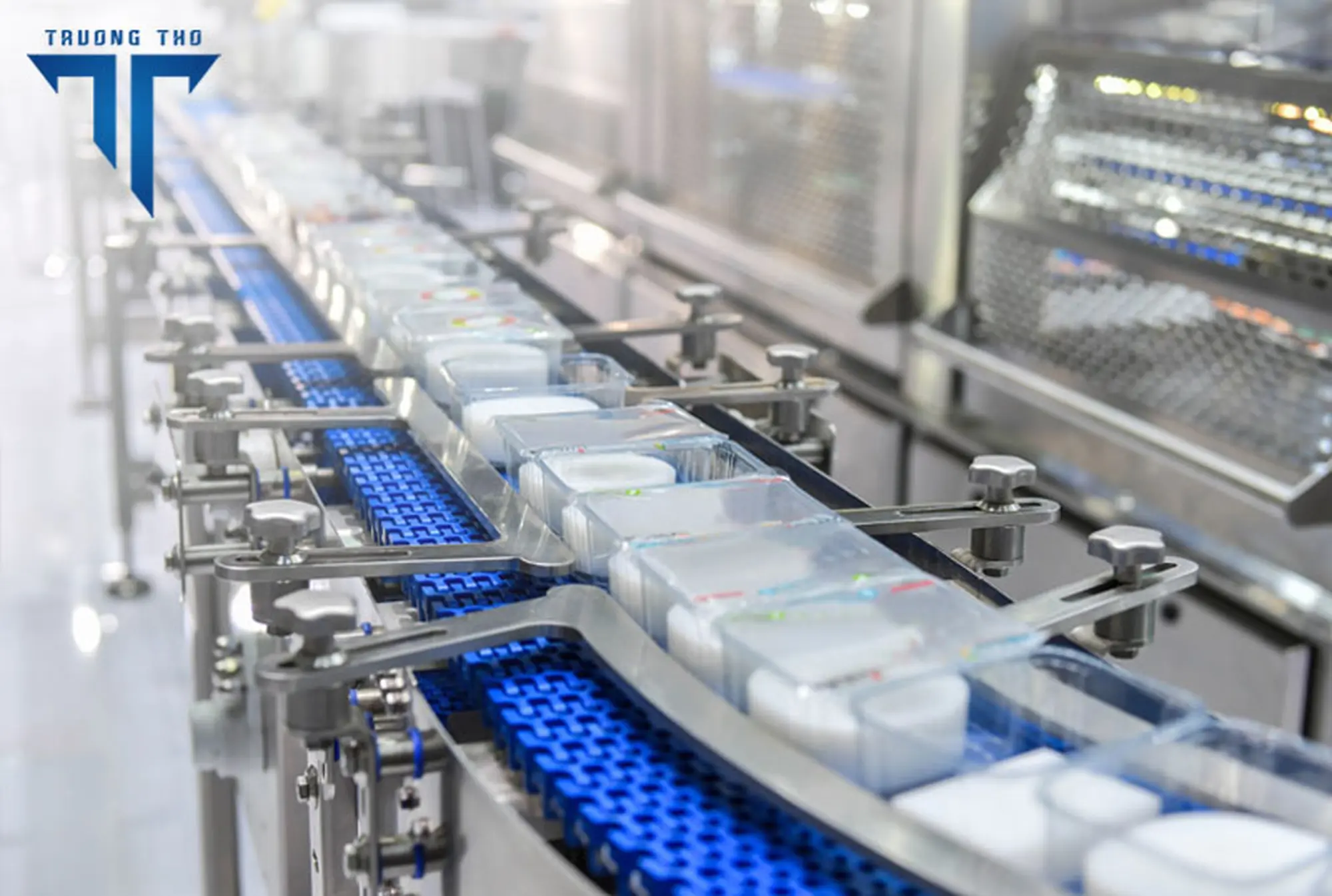 Lựa chọn băng chuyền đúng cách