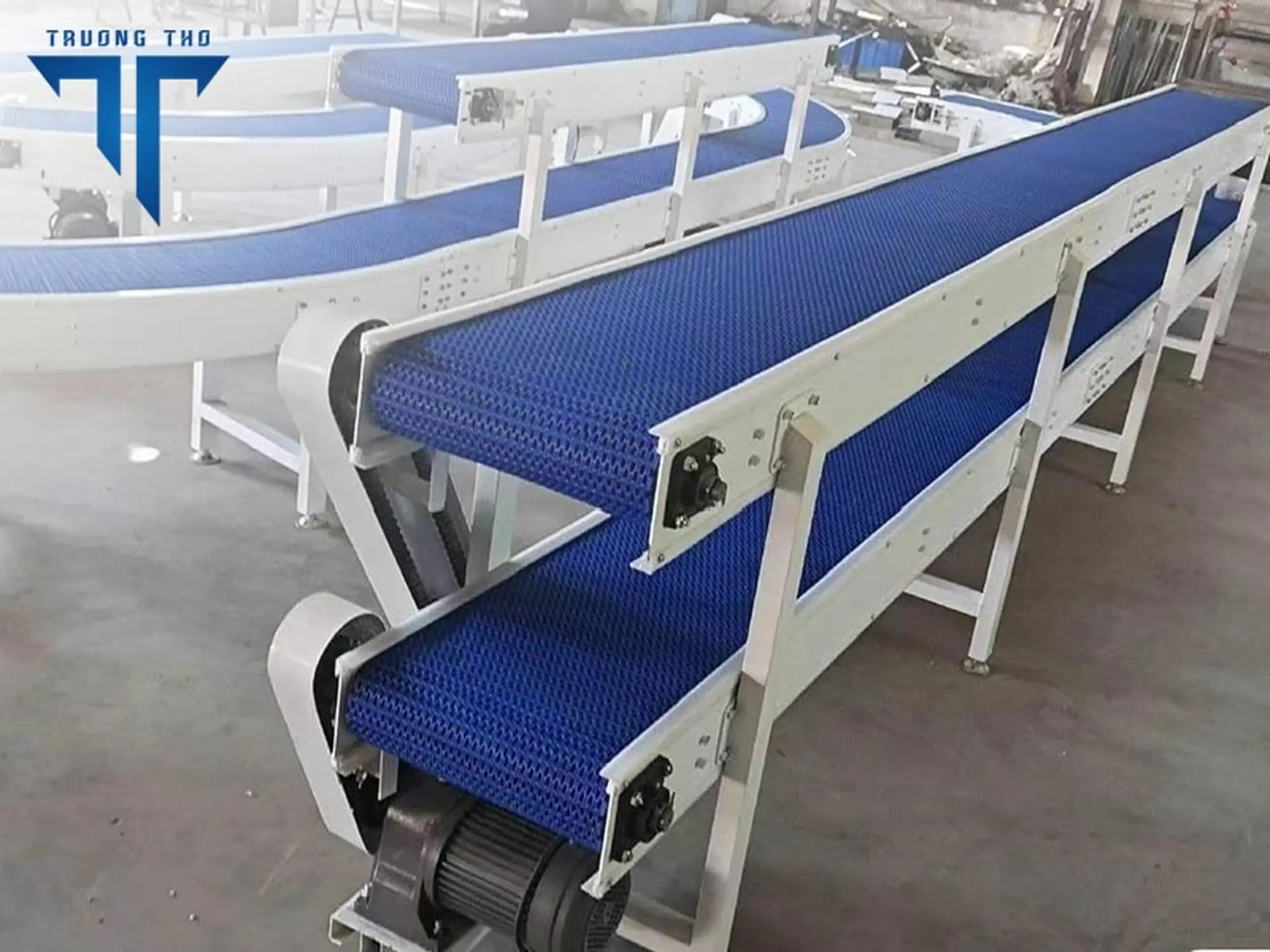 Băng tải thực phẩm xích nhựa