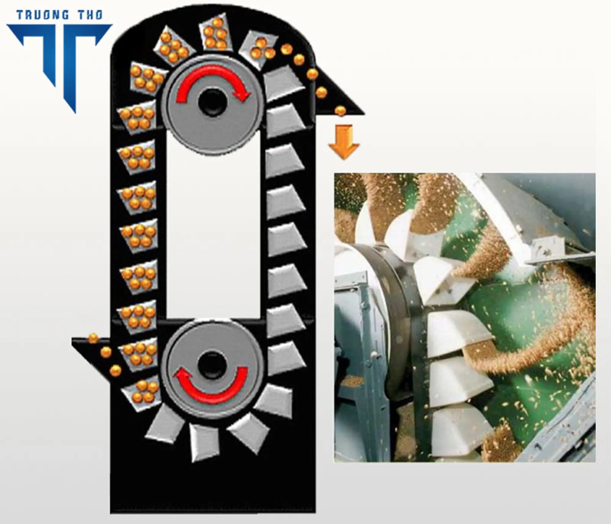 Nguyên lí hoạt động gầu tải đứng