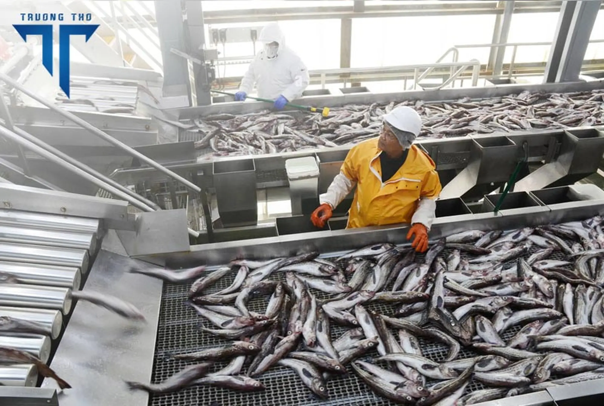 Ứng dụng ngành hải sản