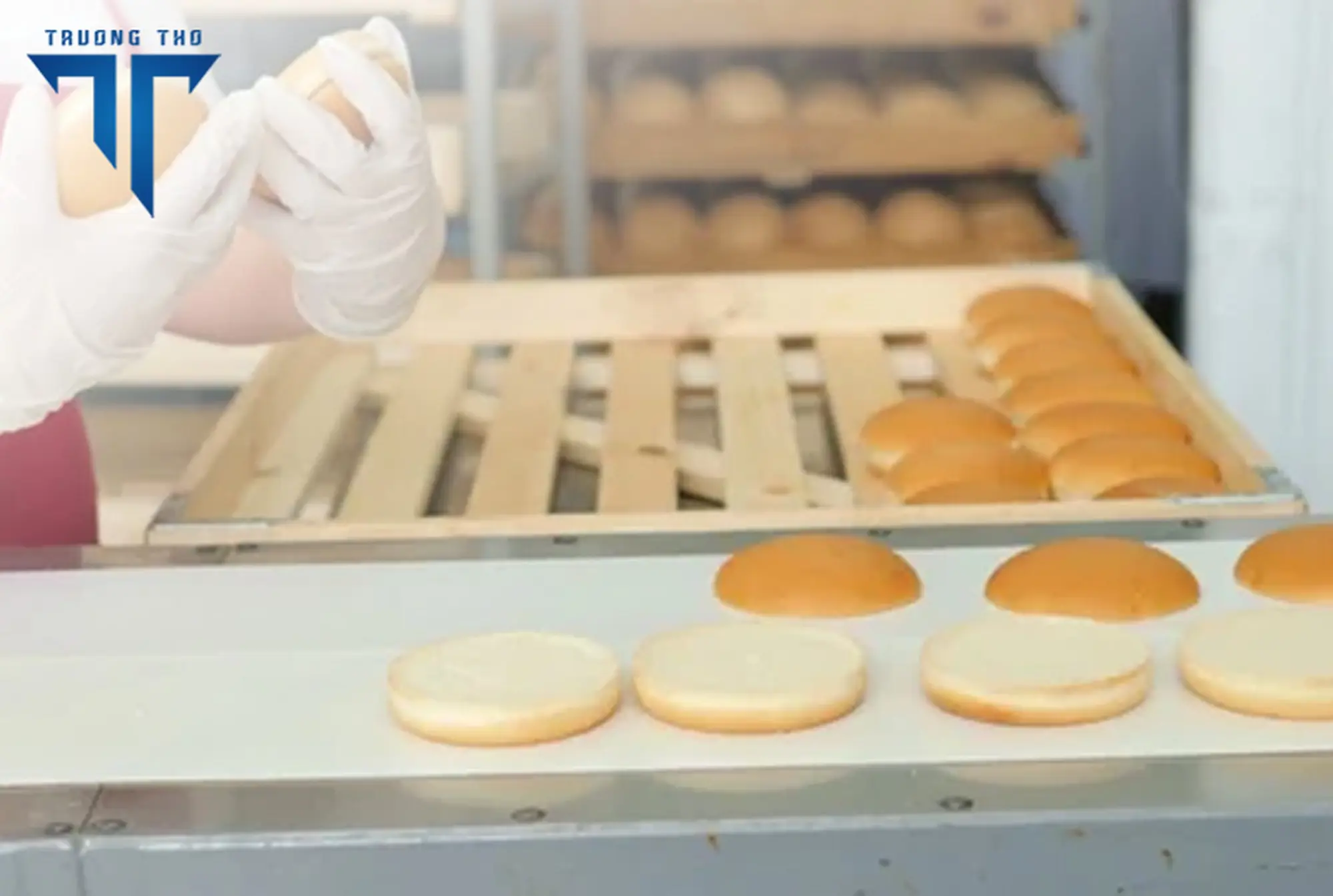 Ứng dụng ngành thực phẩm