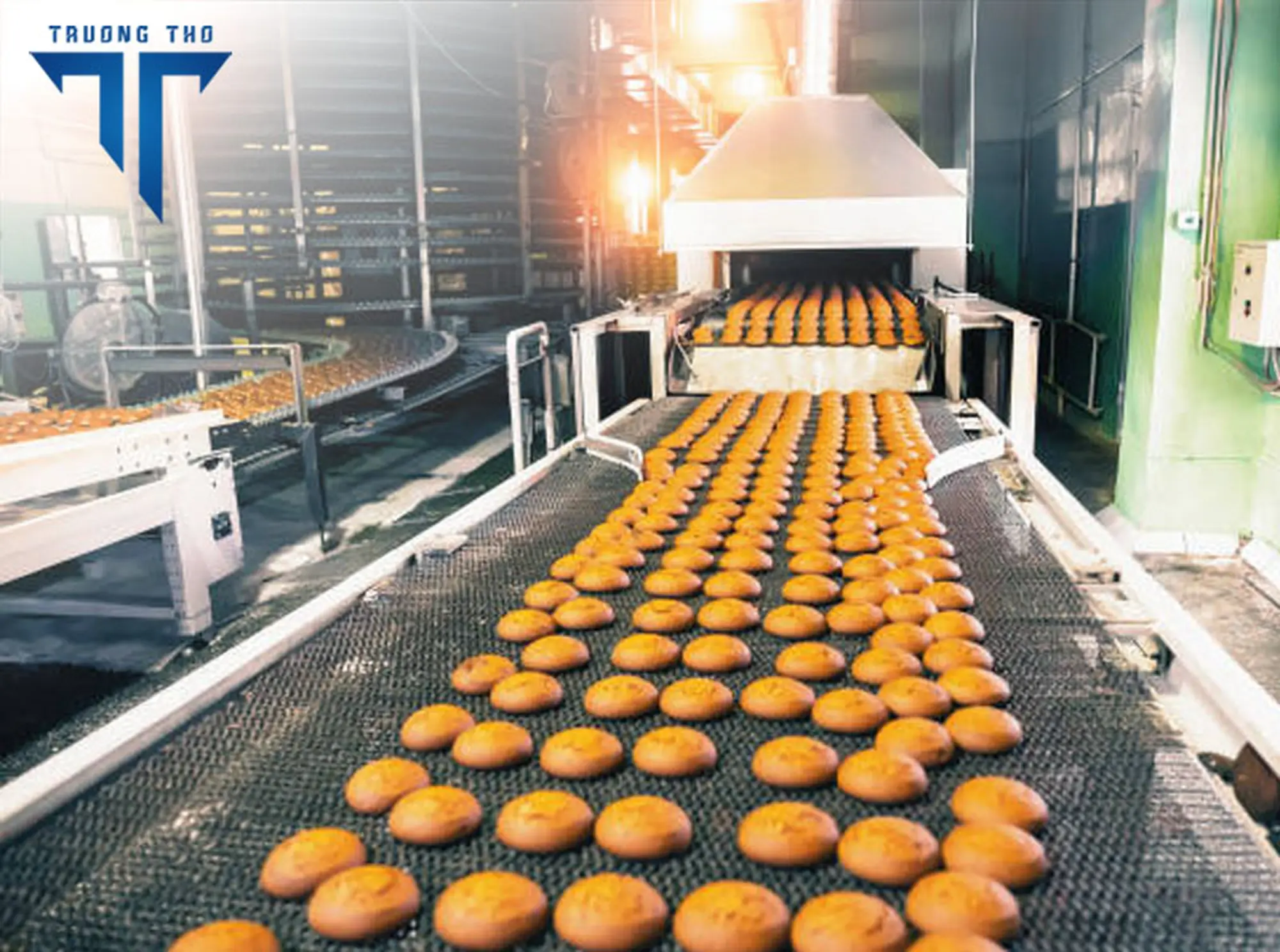 Ứng dụng sấy thực phẩm