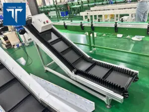 Băng tải tai bèo